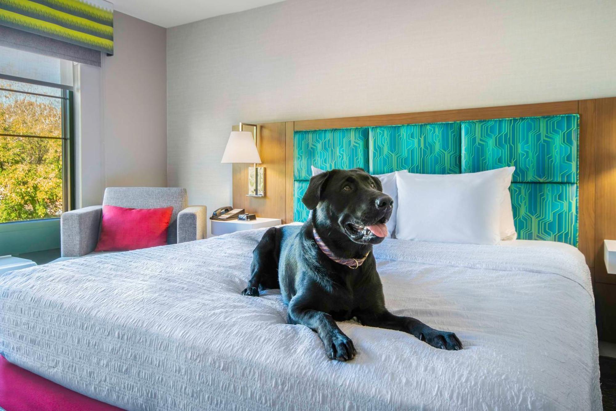 Hampton Inn East Aurora Eksteriør bilde