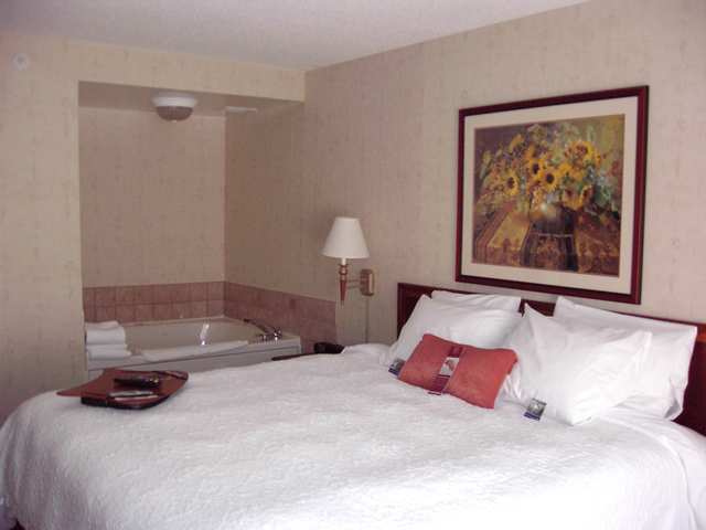 Hampton Inn East Aurora Rom bilde